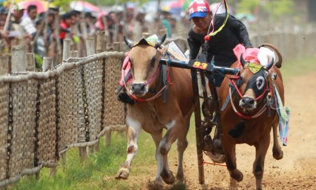 Ragam Kebiasaan Unik Masyarakat Di Berbagai Daerah Indonesia