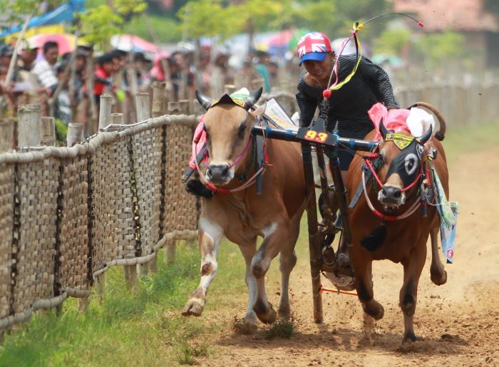 Ragam Kebiasaan Unik Masyarakat Di Berbagai Daerah Indonesia